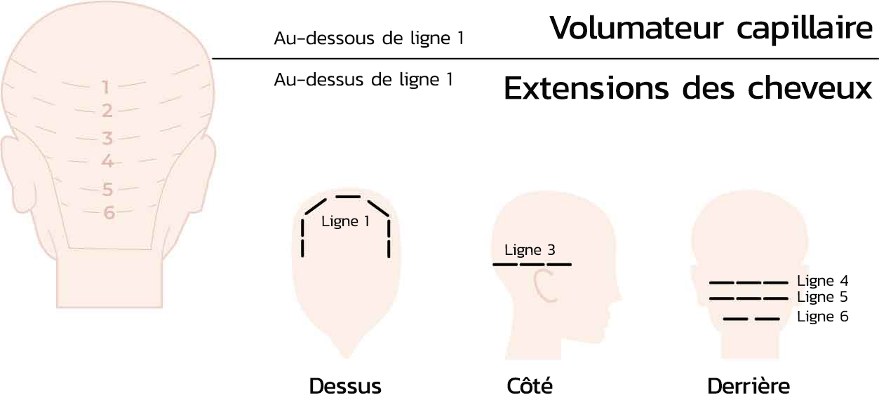 Les volumateurs et les extensions des cheveux 